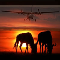 1 Night 2 Days Masai Mara AA Lodge Flying Safari Package Price From 941 USD per Person